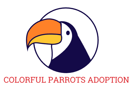 Colorful parrots adoption